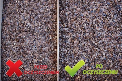 Poduszka ZAFU do MEDYTACJI JOGI gryka ATEST PZH na Arena.pl