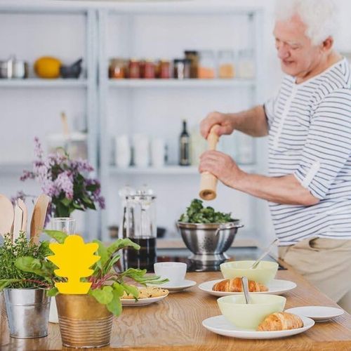 Doniczkowe lepy na owady WingRepel 40 sztuk na Arena.pl