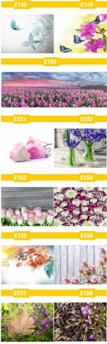 FOTOTAPETA rosliny KWIATY róże DUŻY WYBÓR WZORÓW na Arena.pl