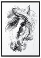 Plakat koń szkic portret 40x50 cm w czarnej ramie