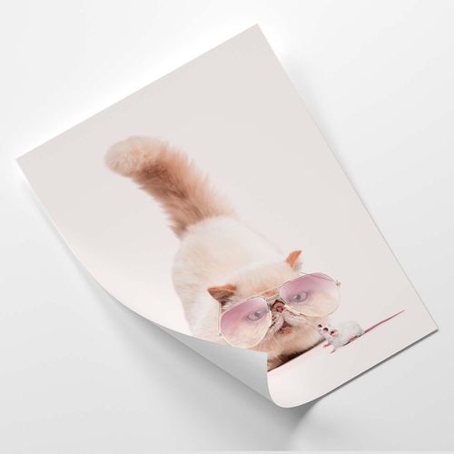Plakat, Kot i mysz 40x60 na Arena.pl