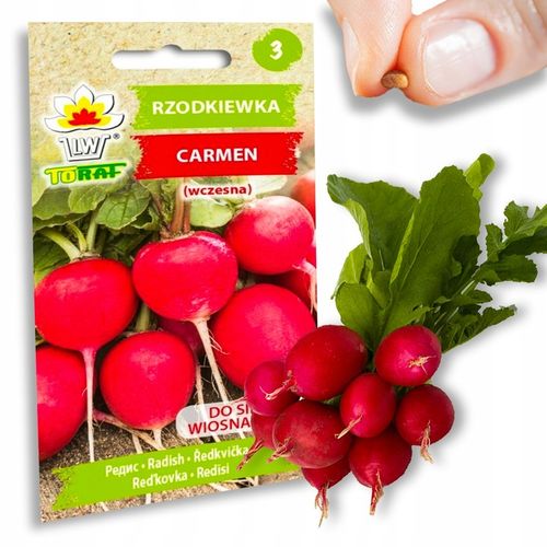 Nasiona warzyw marchew ogórek pietruszka burak NA DOBRY START UDANE PLONY na Arena.pl