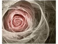 40X50CM RÓŻA KTALNA JASNY RÓŻ OBRAZ DRUK