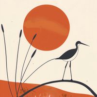 product-compare-59416263