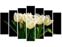 product-compare-58694116