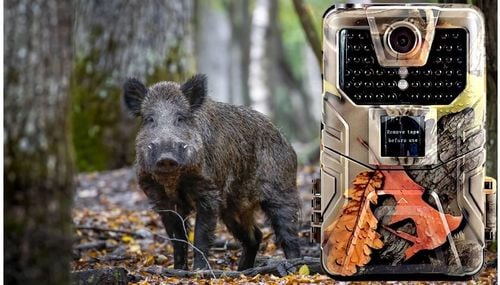 Fotopułapka Tophunt HC-900LTE na Arena.pl