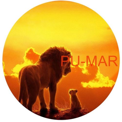 Opłatek na tort Lew Król Zwierząt Kot Kocur Kotek Gepard Puma Tygrys na Arena.pl