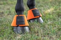 Kaloszki dla konia NeoLite, pomarańczowy, roz. S, Covalliero