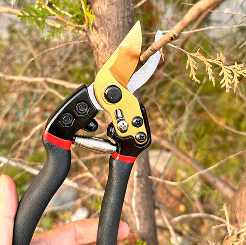 Sekator ogrodowy do cięcia gałęzi krzewów krzaków ostry poręczny na Arena.pl