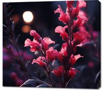 Obraz 100x90cm Wieczorny Blask