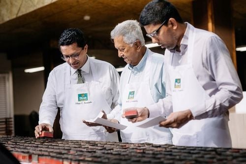 Zestaw Degustacyjny Dilmah Exceptional 4 Smaki 4x20 Torebek na Arena.pl