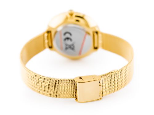 ALBATROSS ABBC20 (za542c) gold / white na Arena.pl
