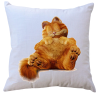 Poduszka Garfield