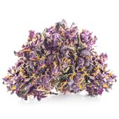 Susz konopny Purple Haze SUPER AMSTERDAM CBD 1g