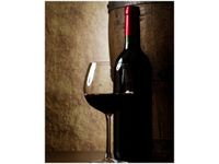 40X50CM OBRAZ RED WINE KIELISZEK BUTELKA OBRAZ