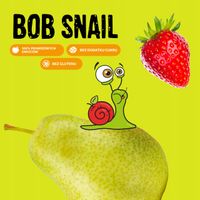 BOB SNAIL Rollsy owocowe Looong jabłko porzeczka 30x15g BEZ CUKRU Zestaw