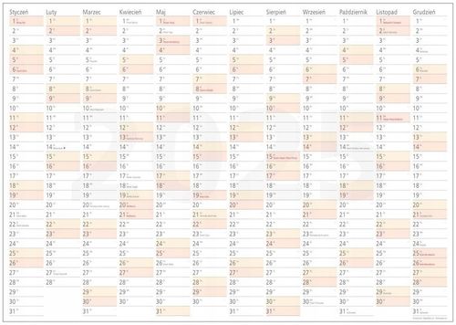 Planer A1 Kalendarz 2025 84x59 zmazywalny z mocowaniem samoprzylepnym na Arena.pl