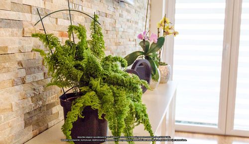 Podpora doniczkowa [2173], ELGarden na Arena.pl