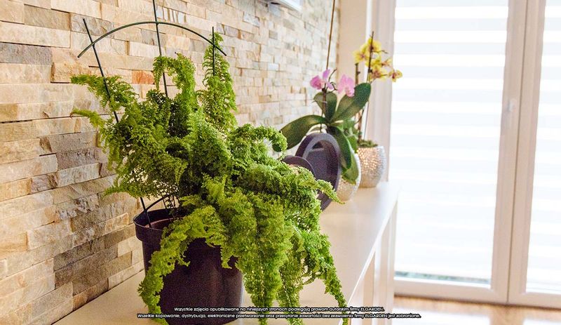 Podpora doniczkowa [2173], ELGarden zdjęcie 5