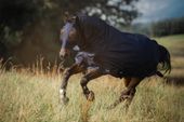 Derka przeciwowadowa RugBe SuperFly, granatowy, 145 cm, Covalliero