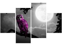 140CM 70 OBRAZ FIOLETOWA SOWA ŚCIENNY