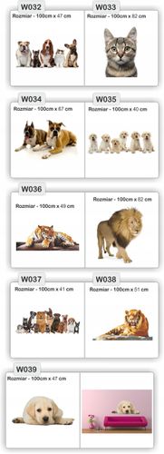 NAKLEJKA naklejki zwierzęta 120 cm koń psy koty na Arena.pl