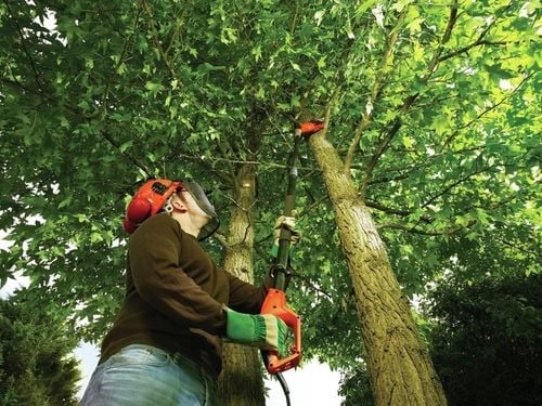 PIŁA ELEKTRYCZNA ŁAŃCUCHOWA NA WYSIĘGNIKU 250MM DO GAŁĘZI 800W na Arena.pl