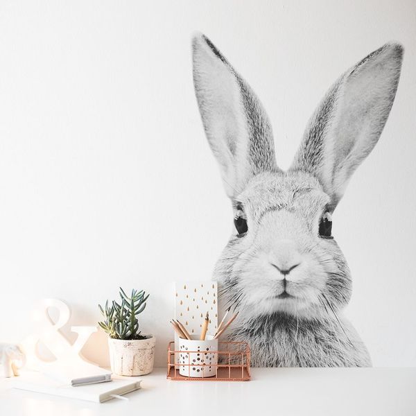 Naklejka Królik Stefan DK350 M zdjęcie 1