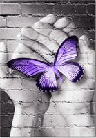 product-compare-58711281