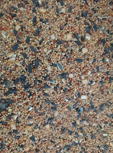 Kampol O-MIX DROBNY karma dla Papug, Dzikich Ptaków 25kg na Arena.pl