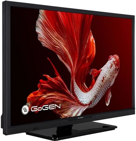 Telewizor LED 24'' HD Ready USB HDMI DVB-T2 CI zdjęcie 9