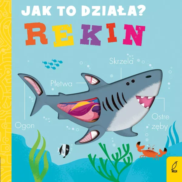 Jak to działa? Rekin zdjęcie 1