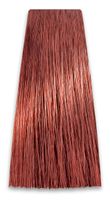 CHANT.PROF 100 g farba COLORART nr 6/4G