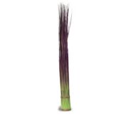 Sztuczna trawa roślina snopek do salonu Bundle 2 124 cm I TR-BUN2-124-I