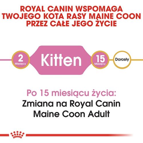 Karma dla kociąt Maine Coon, kotek w ciąży i karmiących - Royal Canin 2kg na Arena.pl