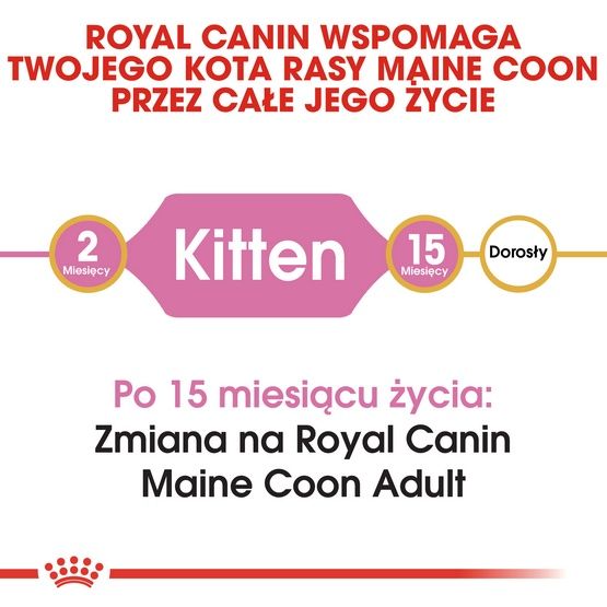 Karma dla kociąt Maine Coon, kotek w ciąży i karmiących - Royal Canin 2kg zdjęcie 4