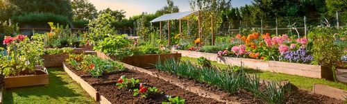 BECZKA POJEMNIK STERK 40L DO KISZENIA OGÓRKÓW KAPUSTY+ATEST na Arena.pl