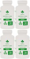 Odchudzanie - Kontrola cukru - BIO MORINGA 480 Kapsułek po 600 mg