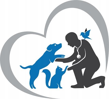 KARMA MOKRA DLA KOTA PREVITAL JUNIOR 52 X 100G SASZETKI DLA KOCIĄT MIX na Arena.pl