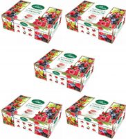 Zestaw herbat Bifix 6 herbat owocowych 300szt x 2g