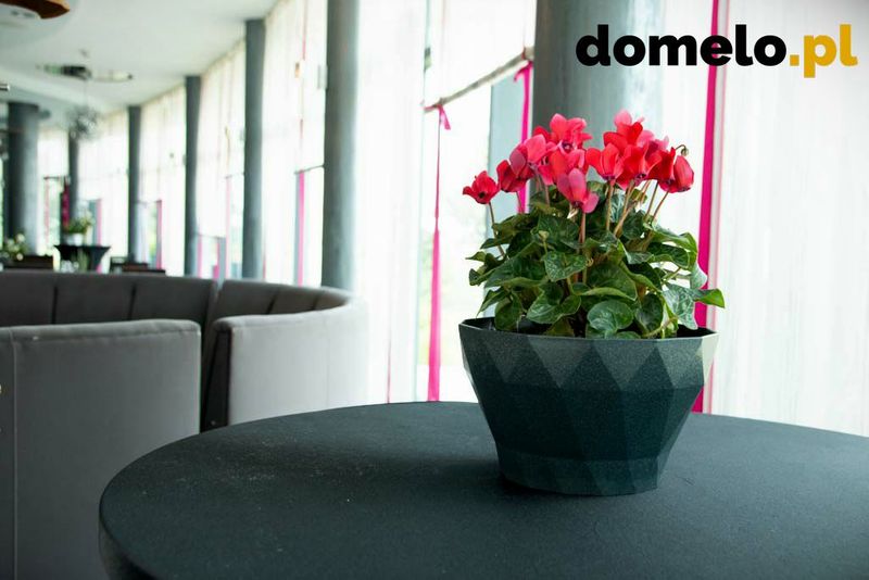 DONICZKA DELTA 220 A5 zdjęcie 4