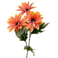 Gazania/stokrotka gałązka pomarańczowa
