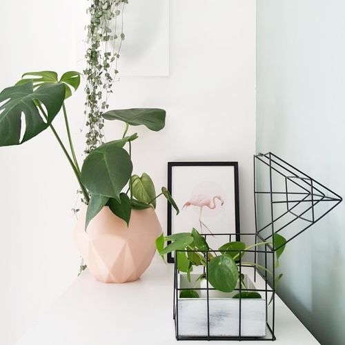 Organizer homme na Arena.pl