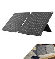 BigBlue SolarPowa 10 ładowarka solarna słoneczna USB C