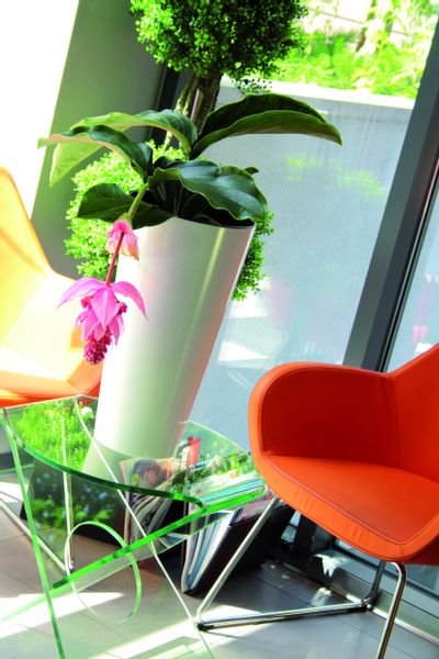 Doniczka z nawadnianiem Tubus shine DTUS200S | Biały, Wymiary 20x38.1 cm, Prosperplast zdjęcie 4