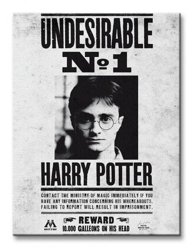 Harry Potter Undesirable No.1 - Obraz na płótnie 30x40 cm na Arena.pl