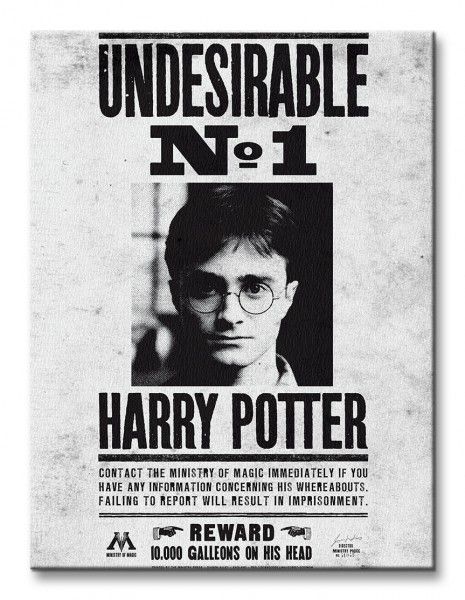 Harry Potter Undesirable No.1 - Obraz na płótnie 30x40 cm zdjęcie 2