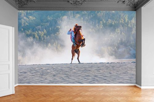 Fototapeta KOŃ WIERZGAJĄCY LAS WIDOK 300x210 na Arena.pl