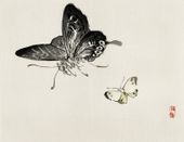 Plakat 65x50cm Butterflies, Kōno Bairei Japoński Vintage do Salonu