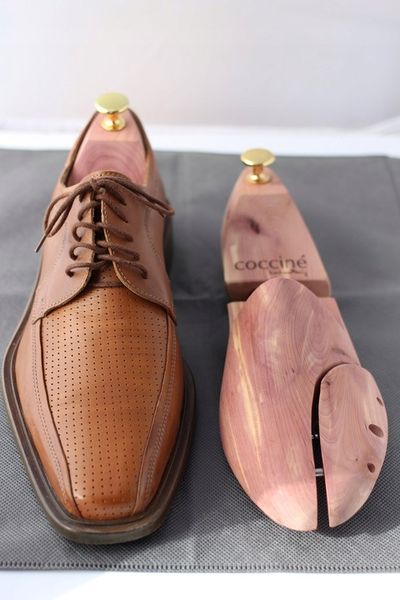 Prawidła Cedrowe Coccine do butów rozmiary 45-46 zdjęcie 8